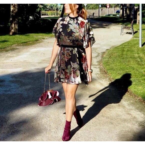 ZARA Devore Floral Burnout Velvet Mini Dress Tie Waist XS Whimsigoth Romantic - Picture 2 of 15